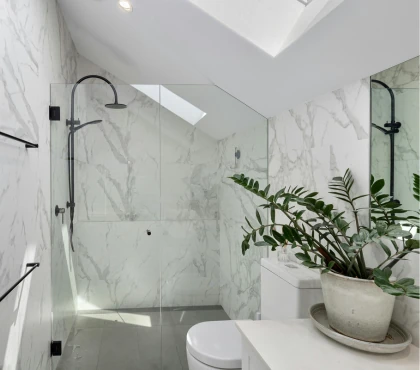 zamiokulkas inspiracje